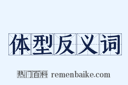 体型反义词是什么意思的图片